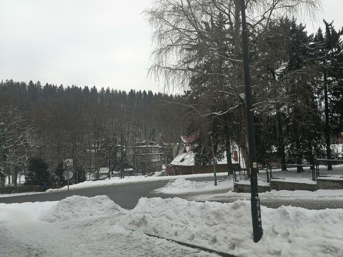 Apartament Parkowy Duszniki Zdrój Esterno foto